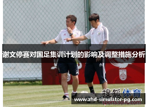 谢文停赛对国足集训计划的影响及调整措施分析